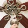 Ceiling Fan Ceiling Fan